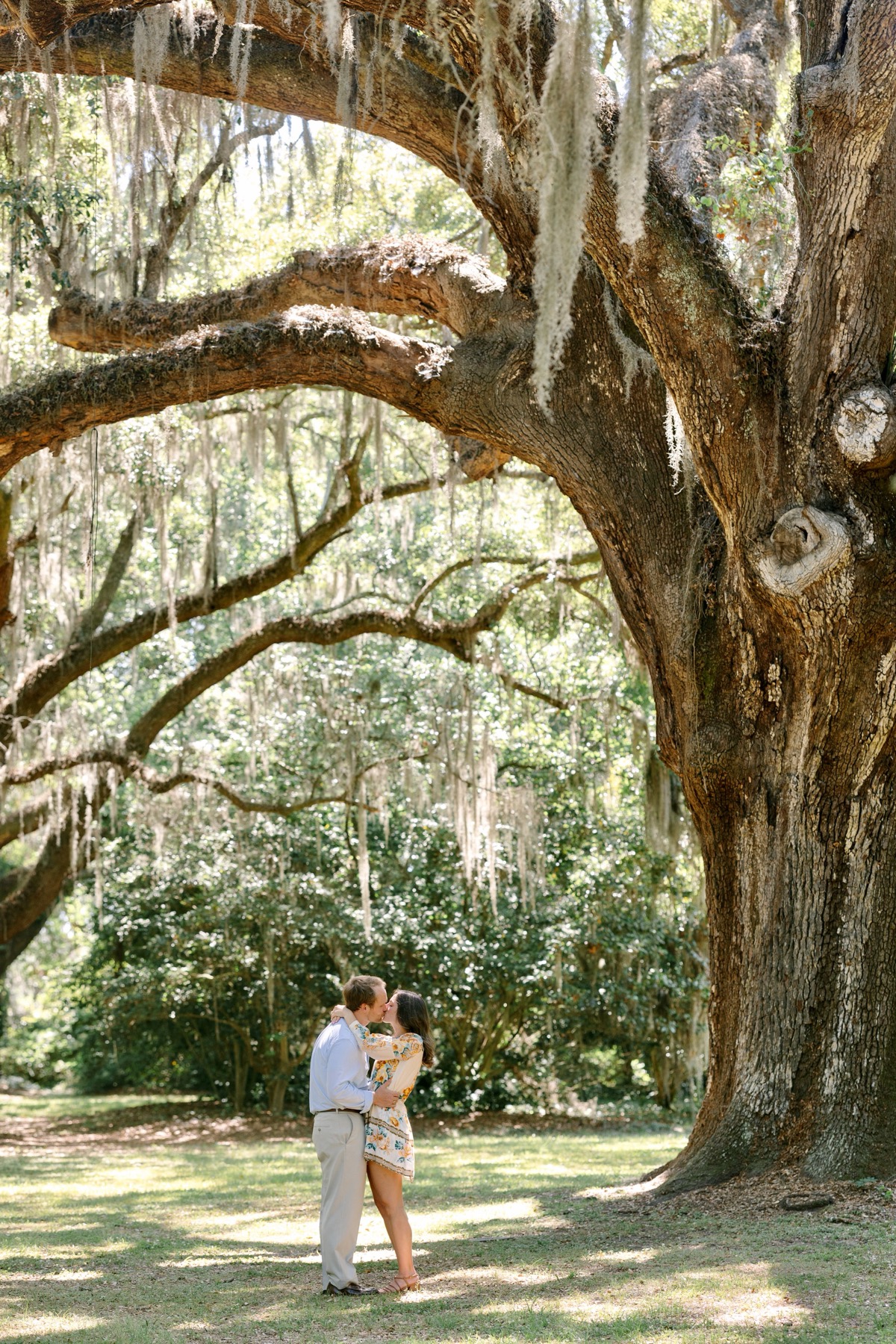 The couple kissing beneath a grand live oak